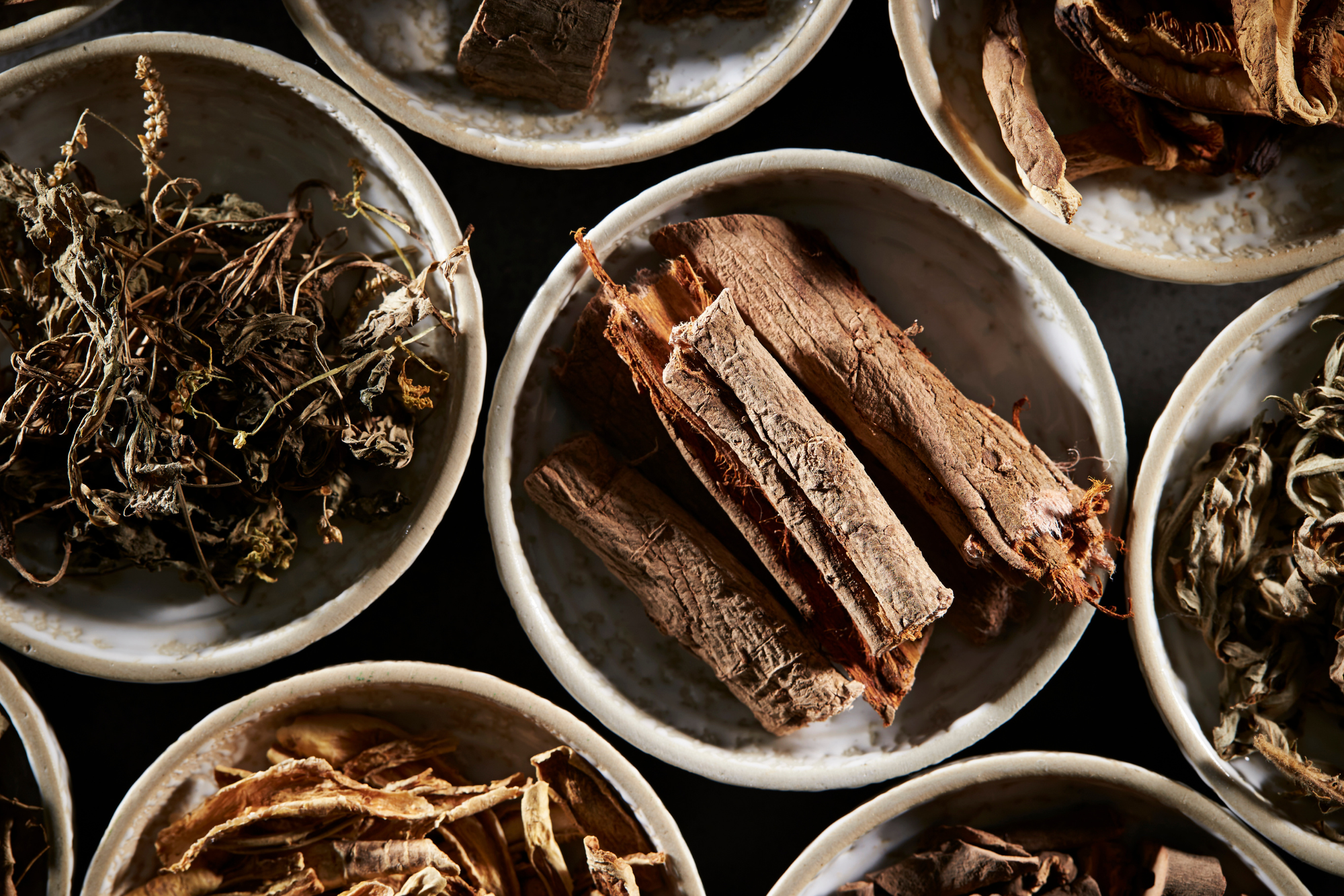 Chinese Herbal Medicine Certification with Marina Danilova