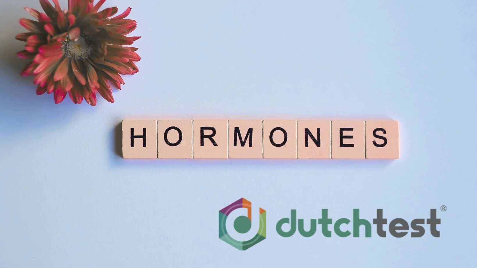 DUTCH hormonal test at Marina Danilova Clinic