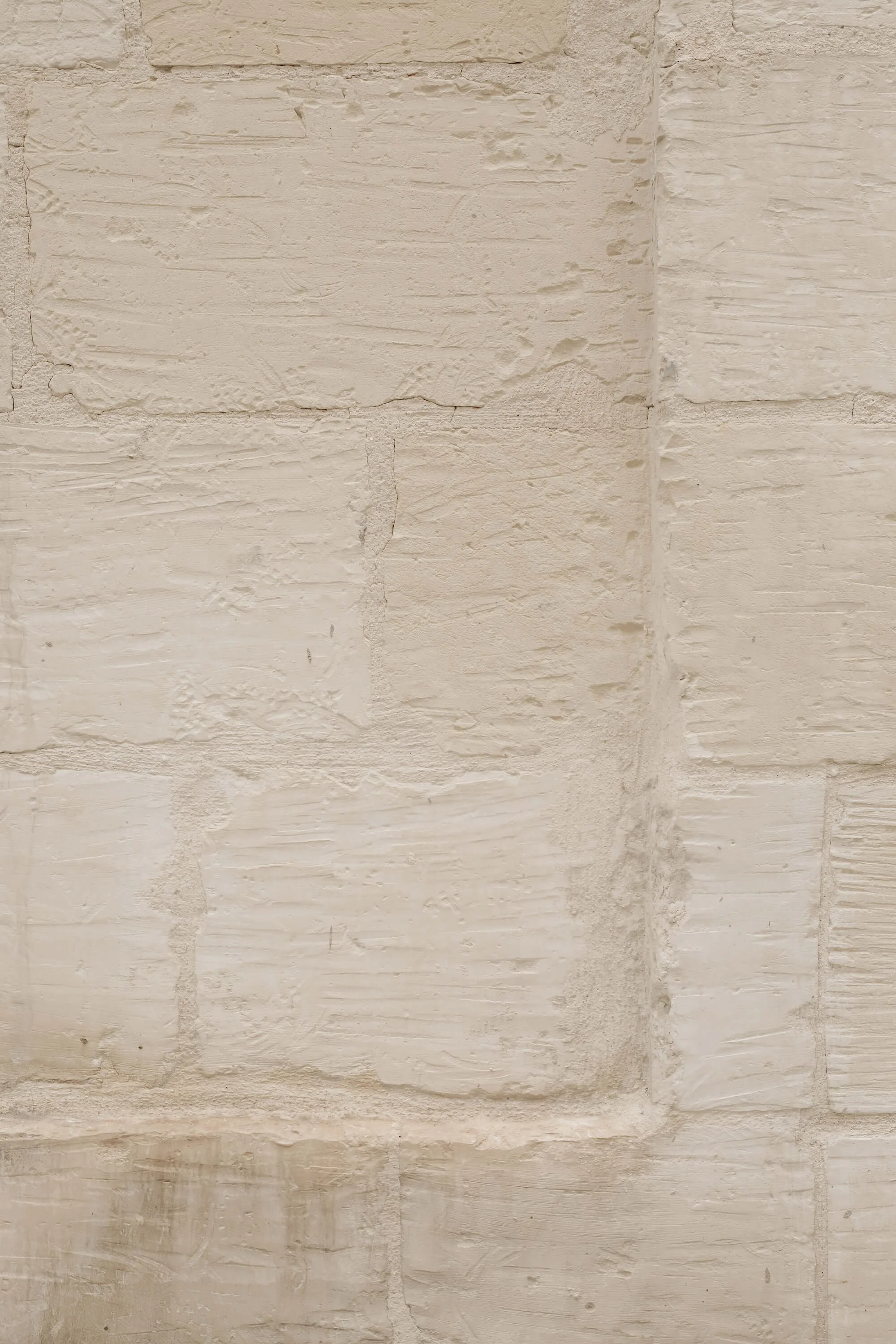 Marina Danilova light brick background