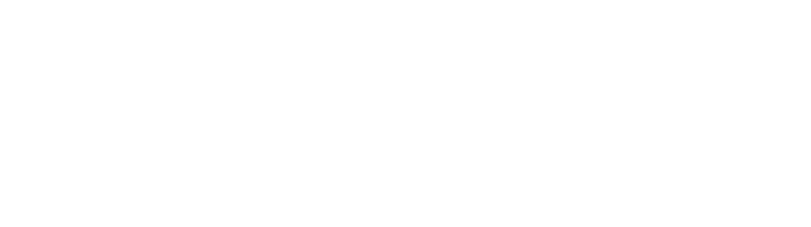 A stylized logo with the word 'FLEX' in bold, white, italicized font against a black background.