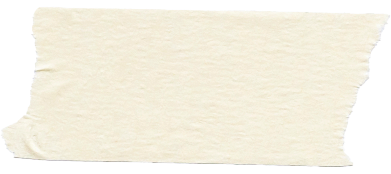 A blank piece of torn paper with uneven edges on a plain background.