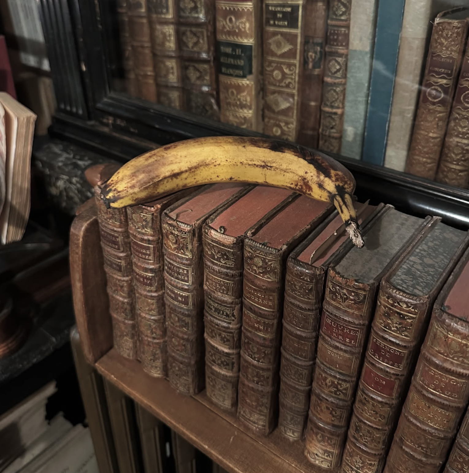 An old banana resting on a row of vintage leather-bound books on a wooden shelf.