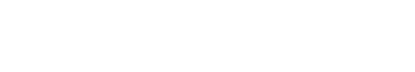 FLAT 6 CAR EMOTION