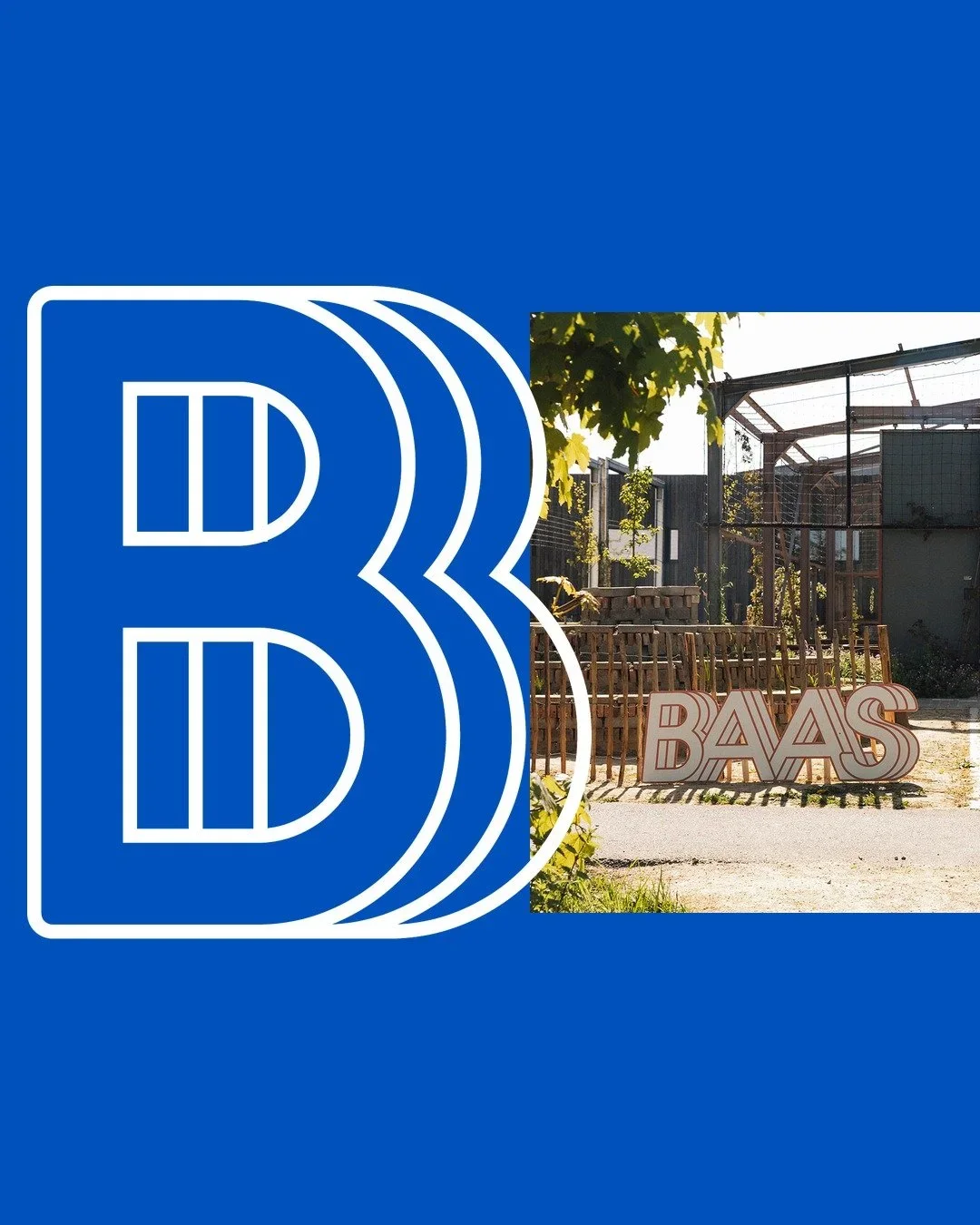BAAS