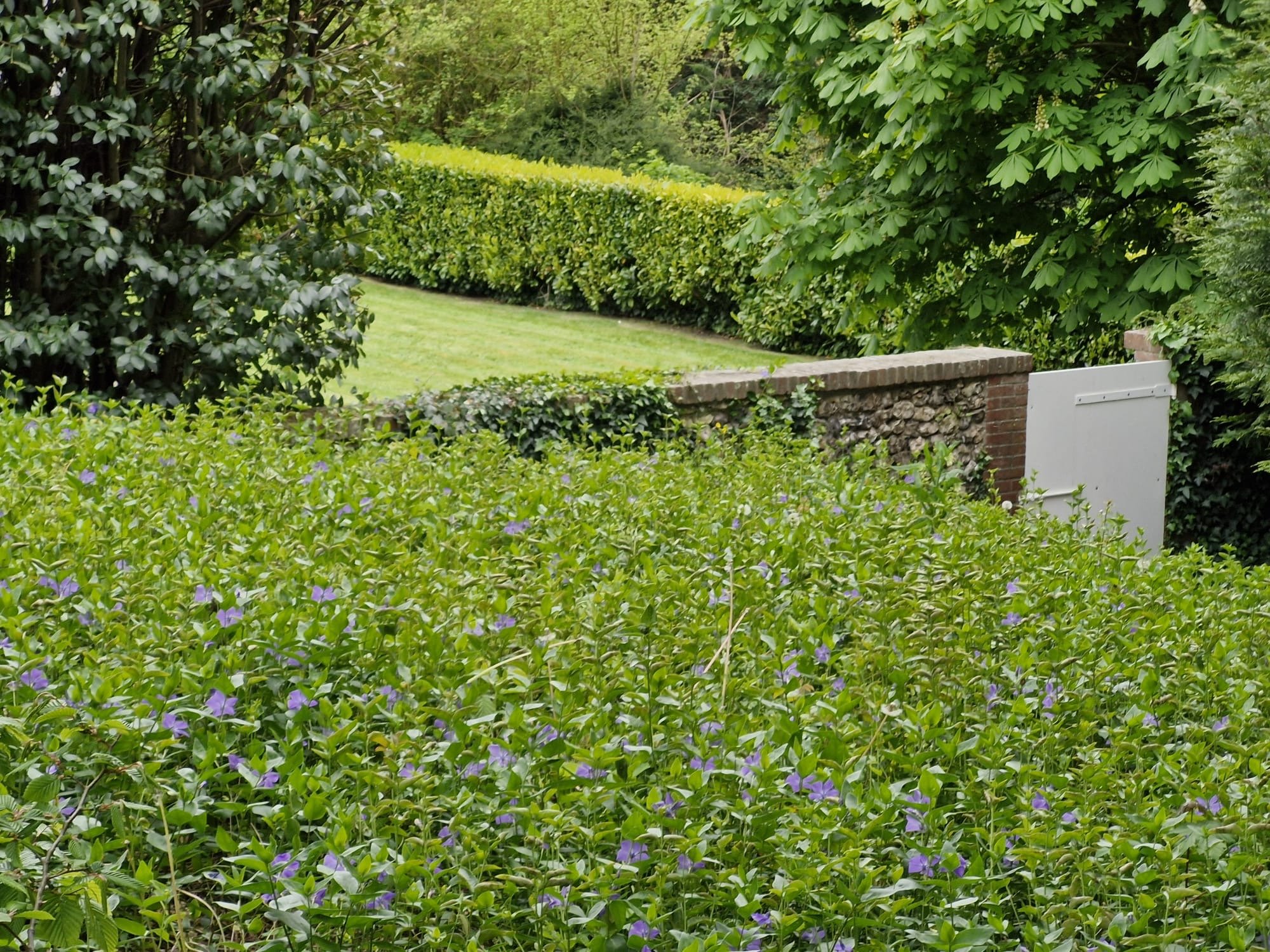 A garden with a stone brick wall, trimmed bushes, green grass, large full trees, and purple flowers in the foreground.