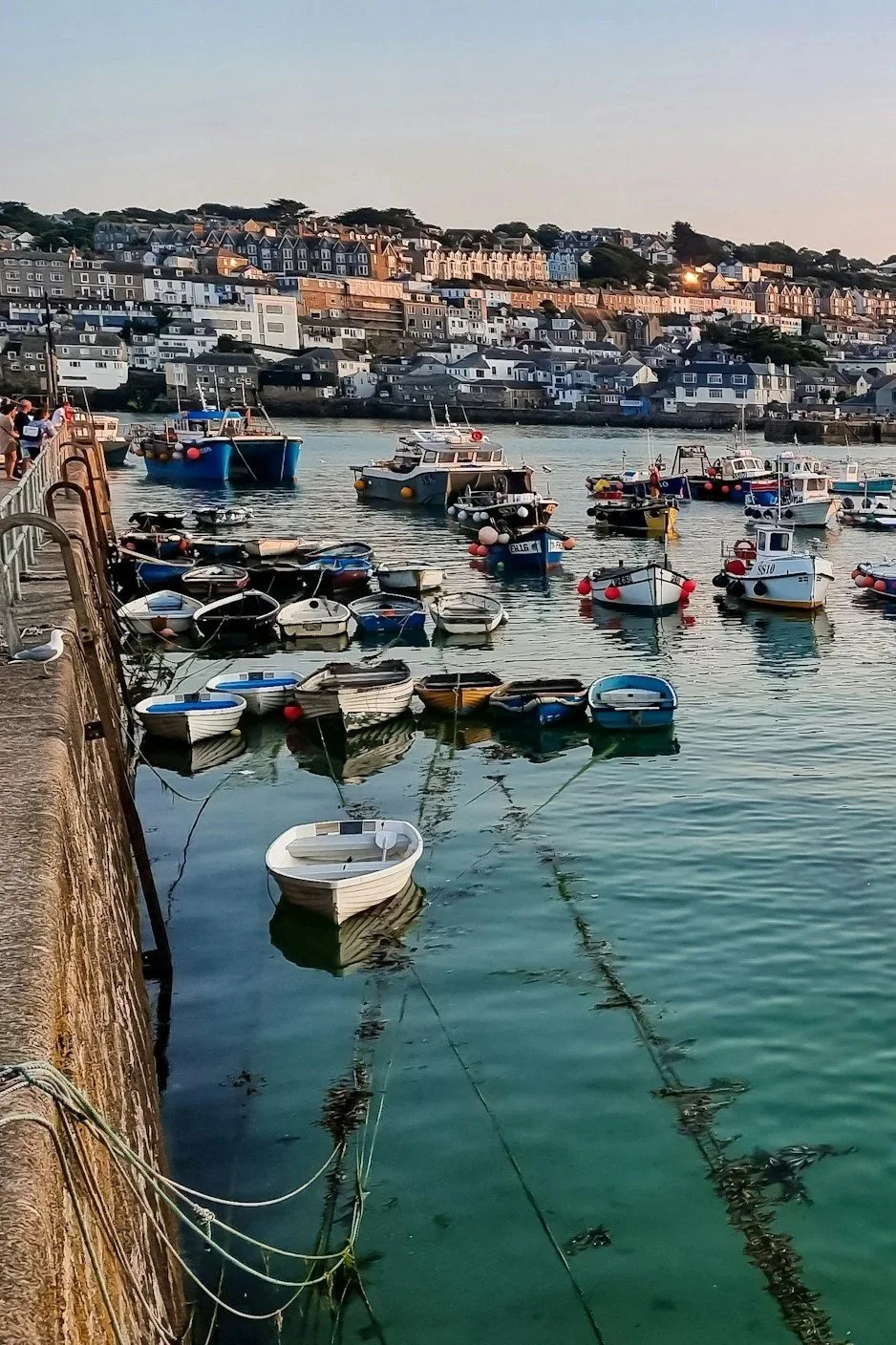 Boats docked in a harbor with a hillside of houses in the background at sunset.