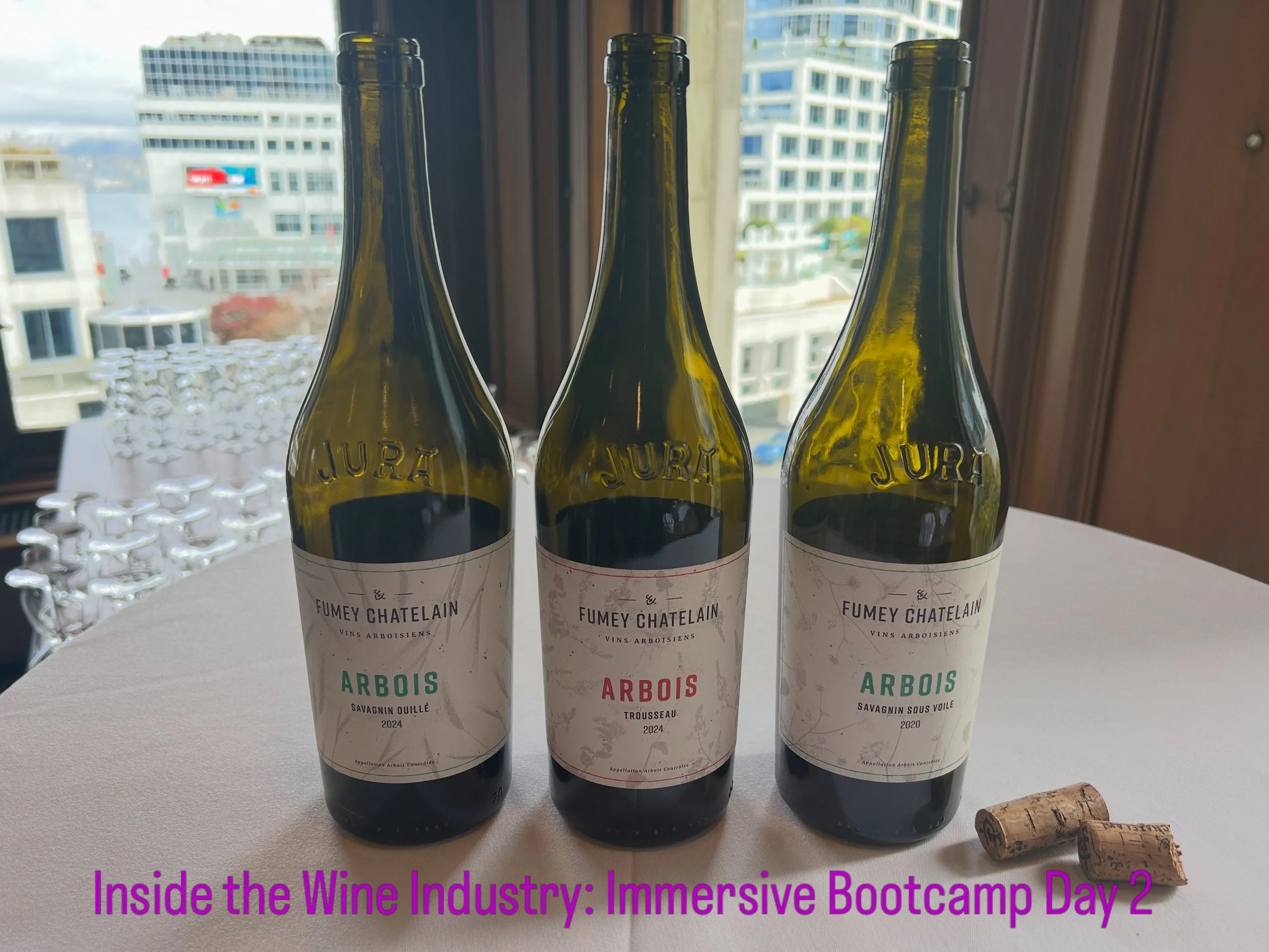For me, one of the most interesting and exciting things about wine is hearing directly from the winemakers themselves. Hearing about their history, their vineyards, their wine making process, and their pride in the final product. 

We were blessed wi