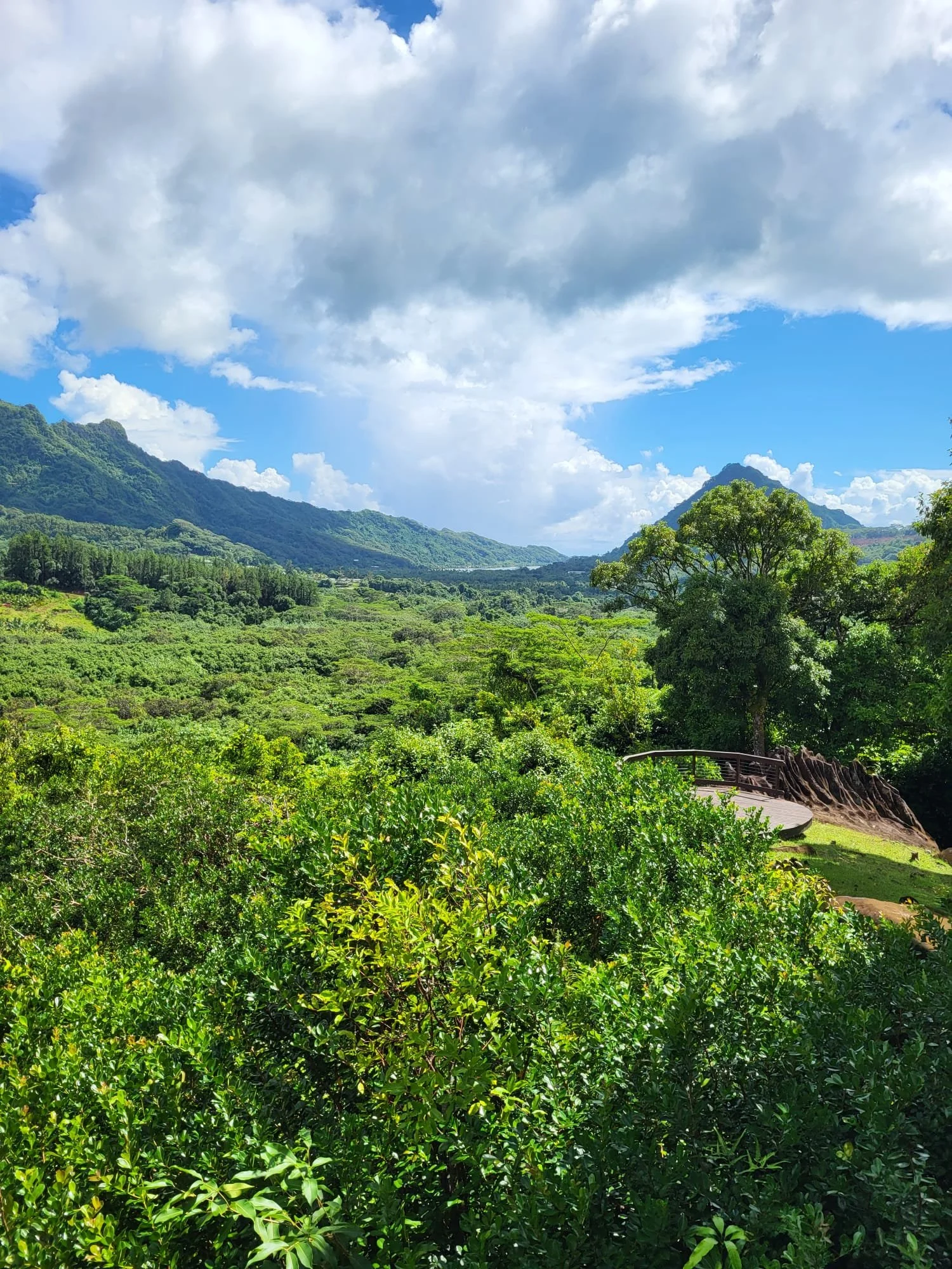 WhatsApp Image 2026-02-27 at 15.59.56.jpeg