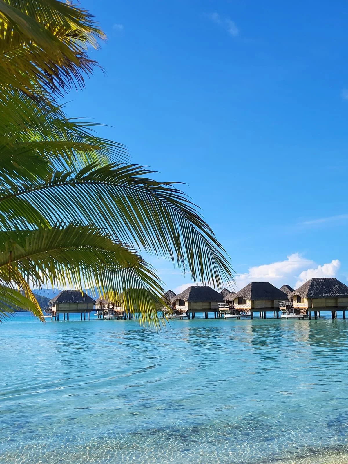 WhatsApp Image 2026-02-27 at 16.00.32.jpeg