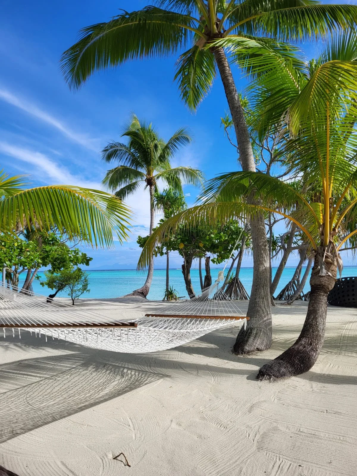 WhatsApp Image 2026-02-27 at 16.01.54.jpeg