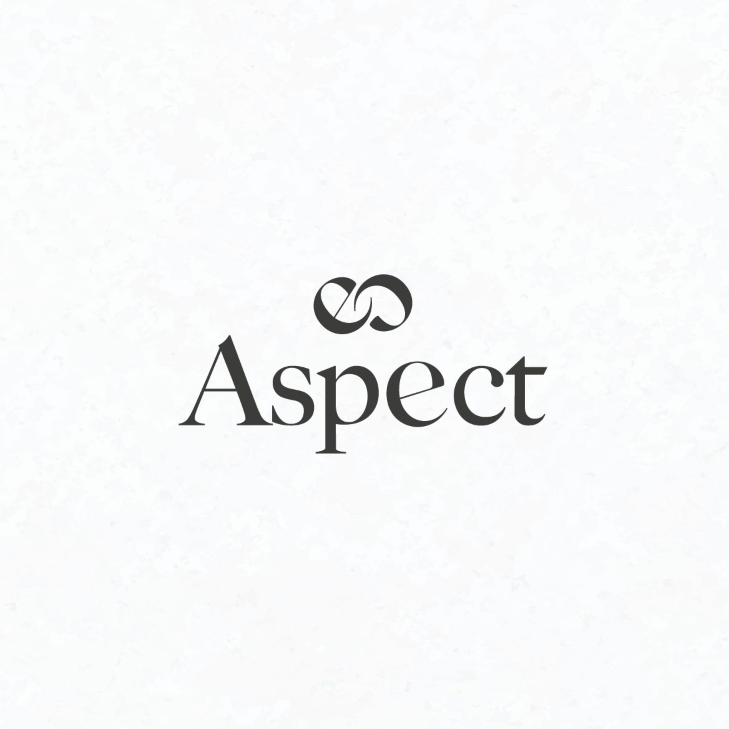 Aspect • The Brand