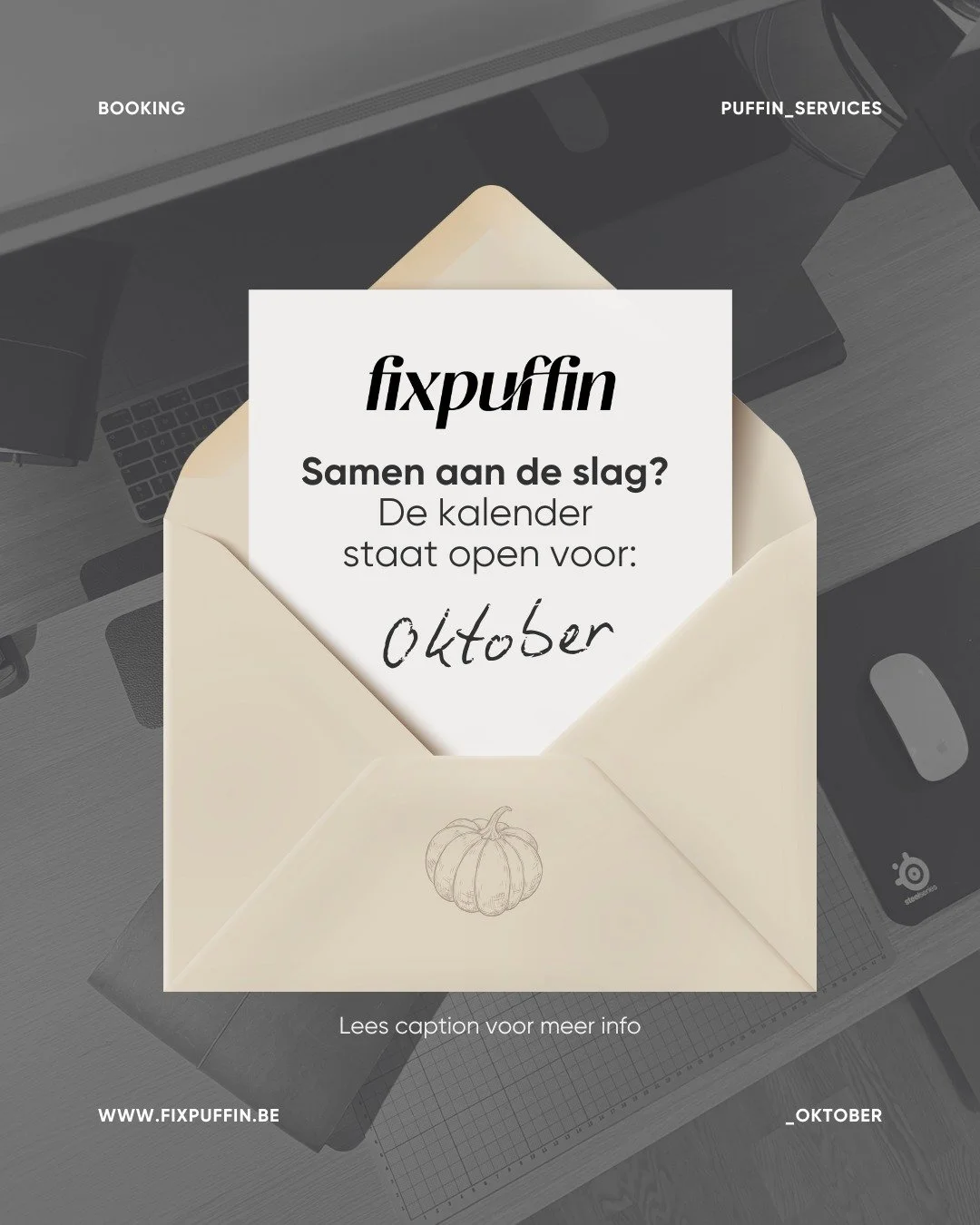 Mijn Project Management agenda voor oktober en november staat open! Ben jij al klaar voor "pumpkin season?"
Dit zijn mijn huidig beschikbare formules om je marketingplan toch nog voor deadline vorm te geven:

🗂️ 1x Puffin on Location
Minim