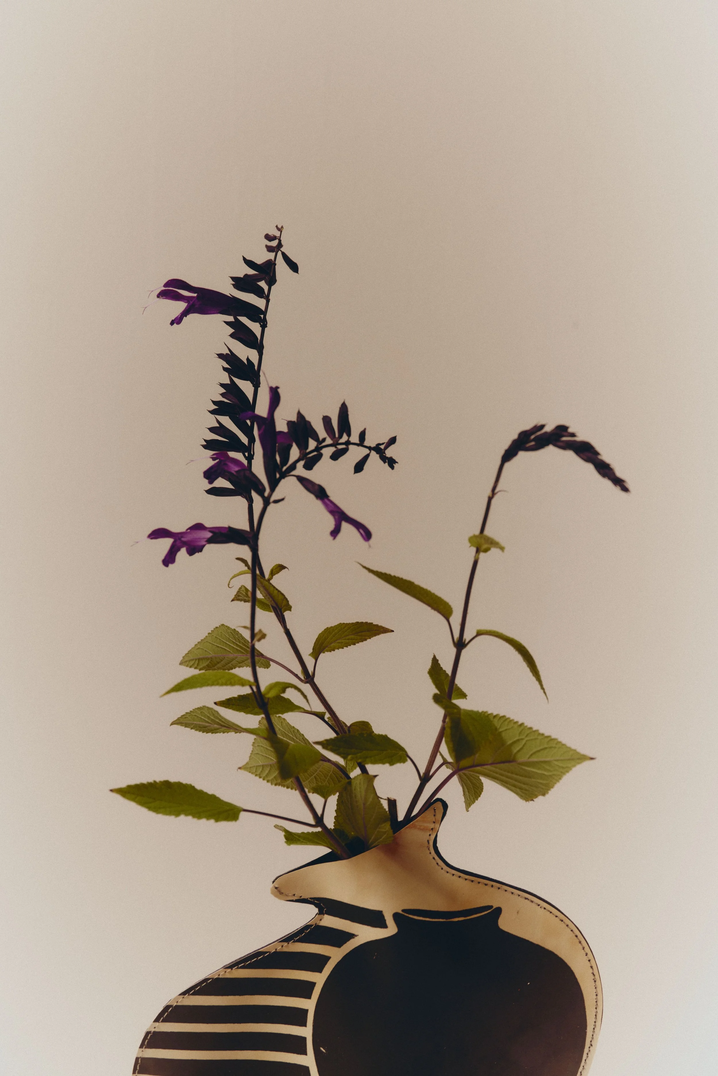 Celmure_ 476-min.jpg