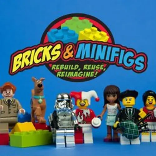 Bricks & Mini Figs