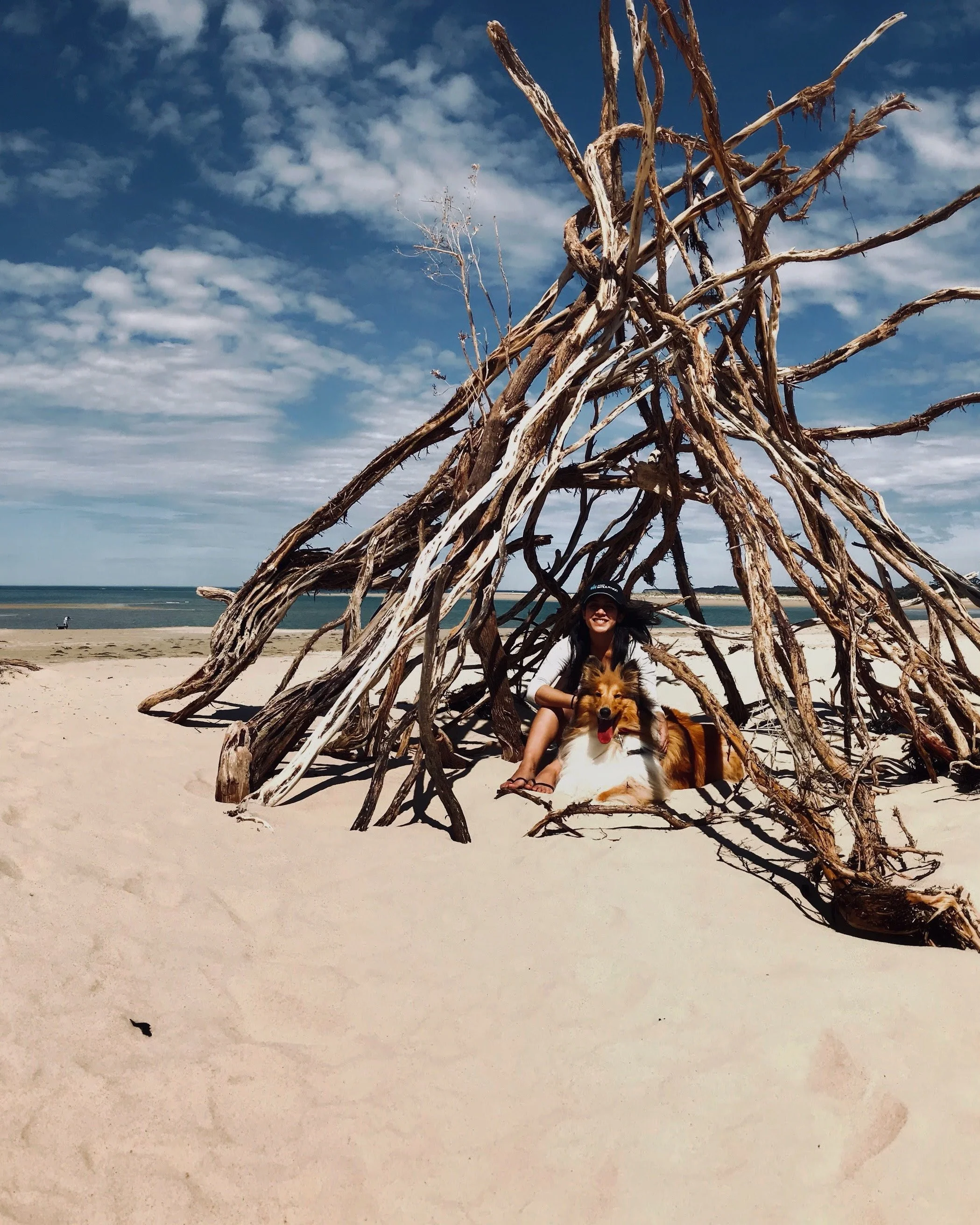 A girl sitting inside a tent made of driftwood on the sandy beach, with her dog, under a partly cloudy sky.
