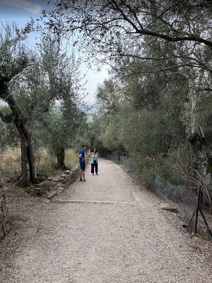 Two people pausing on a shaded path among olive trees