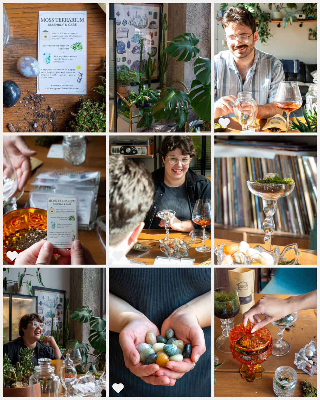 A collage of nine photos related to a moss terrarium workshop, including instructions, plants, and people creating and discussing terrariums, with decorative elements and workshop materials.