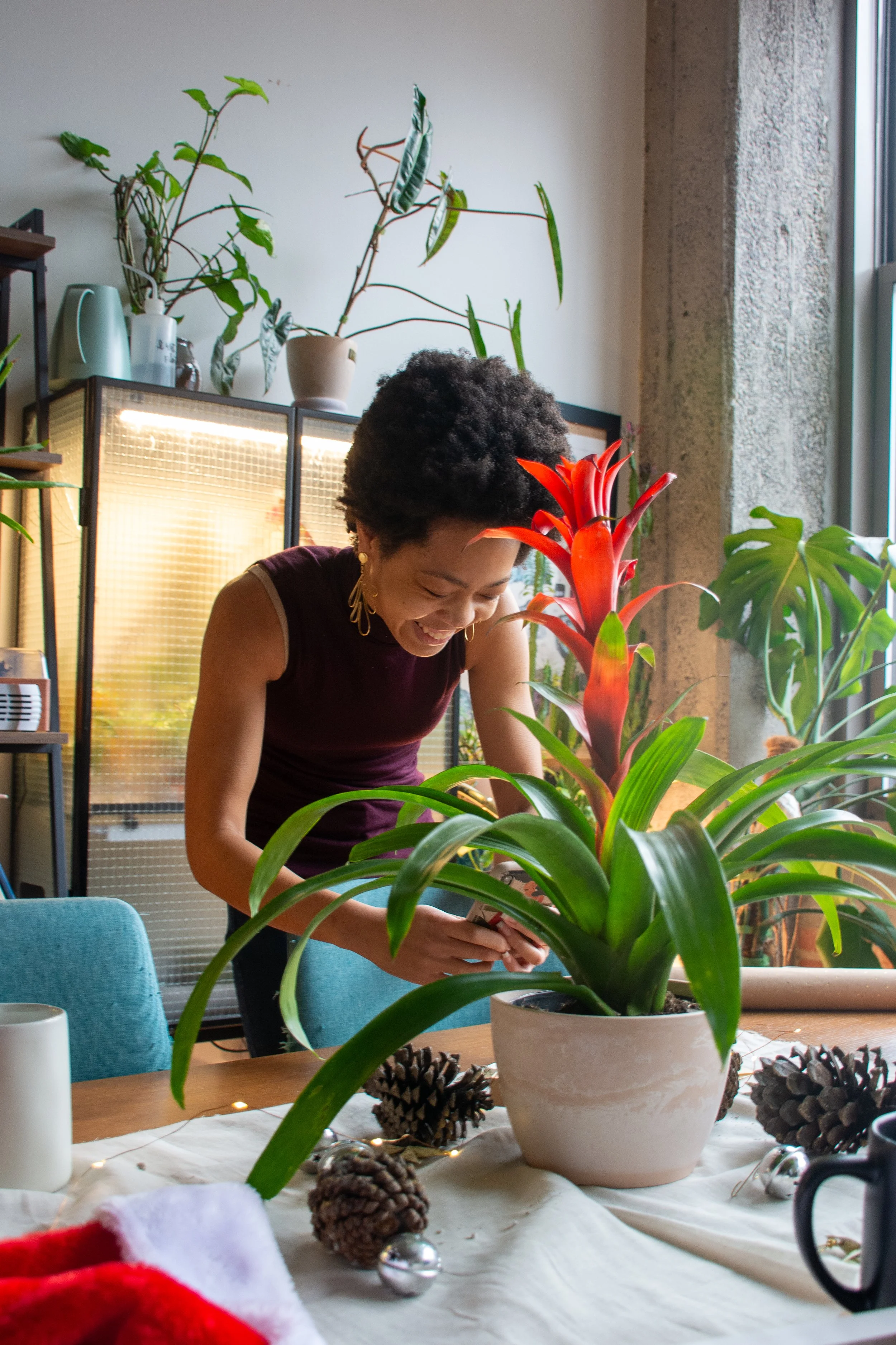 Nia Plant Styling Maison Green.jpg