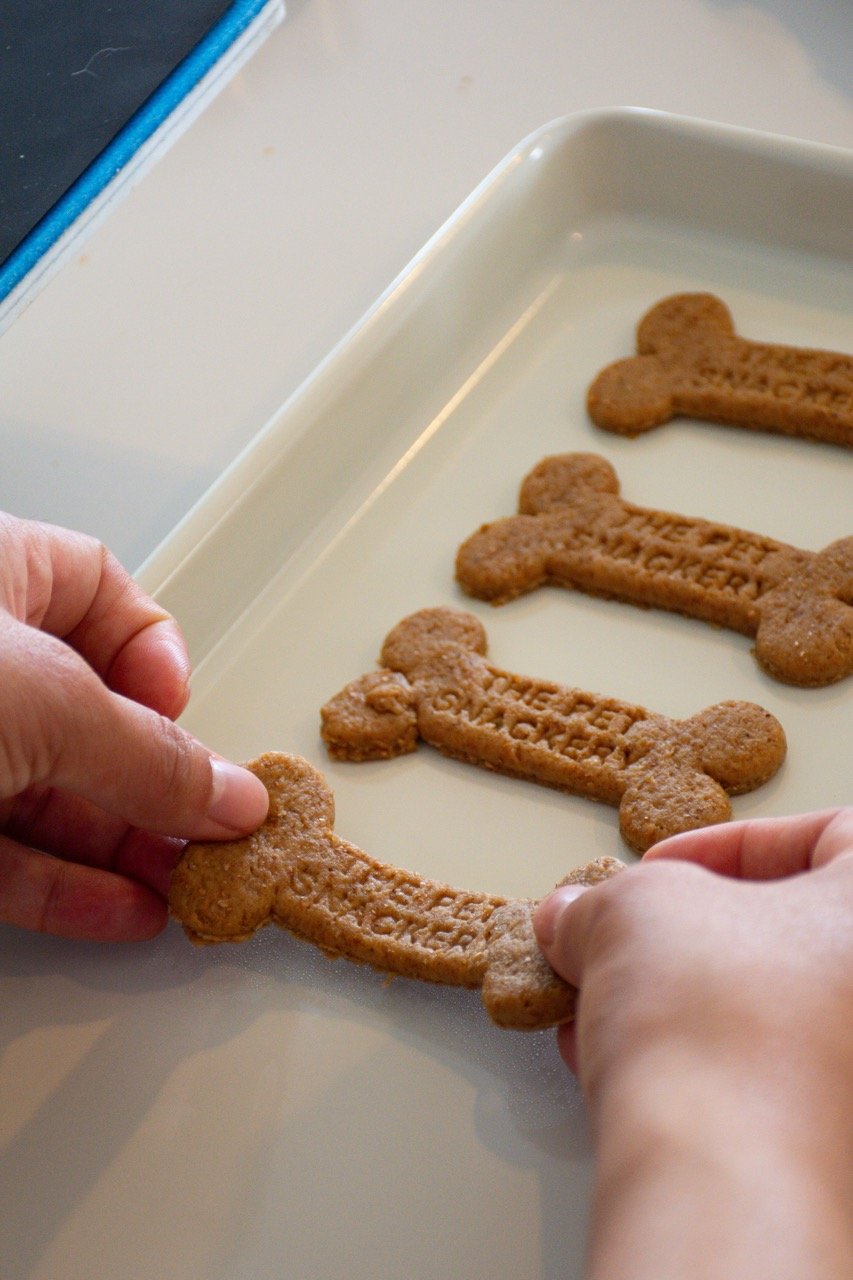 The Pet Snackery 50 Large.jpeg