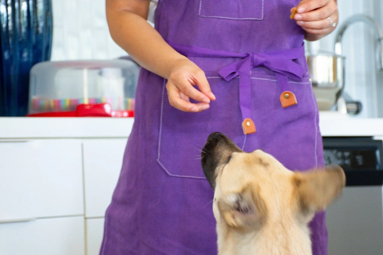 Person in a purple apron feeding a dog in a kitchen.