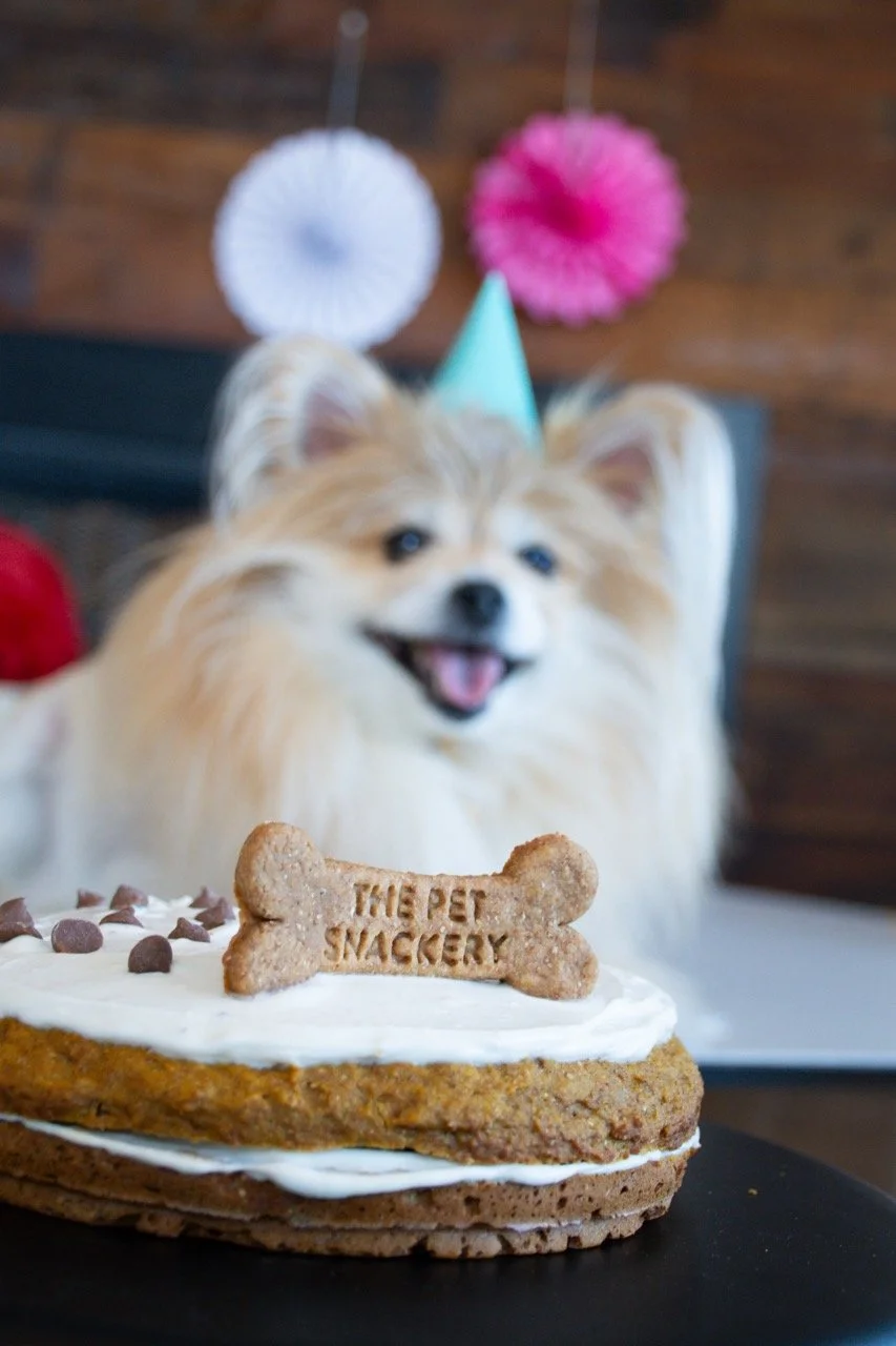 A happy dog wearing a birthday hat behind a pet-themed cake with a bone-shaped cookie and chocolate chips, celebrating a pet's birthday.
