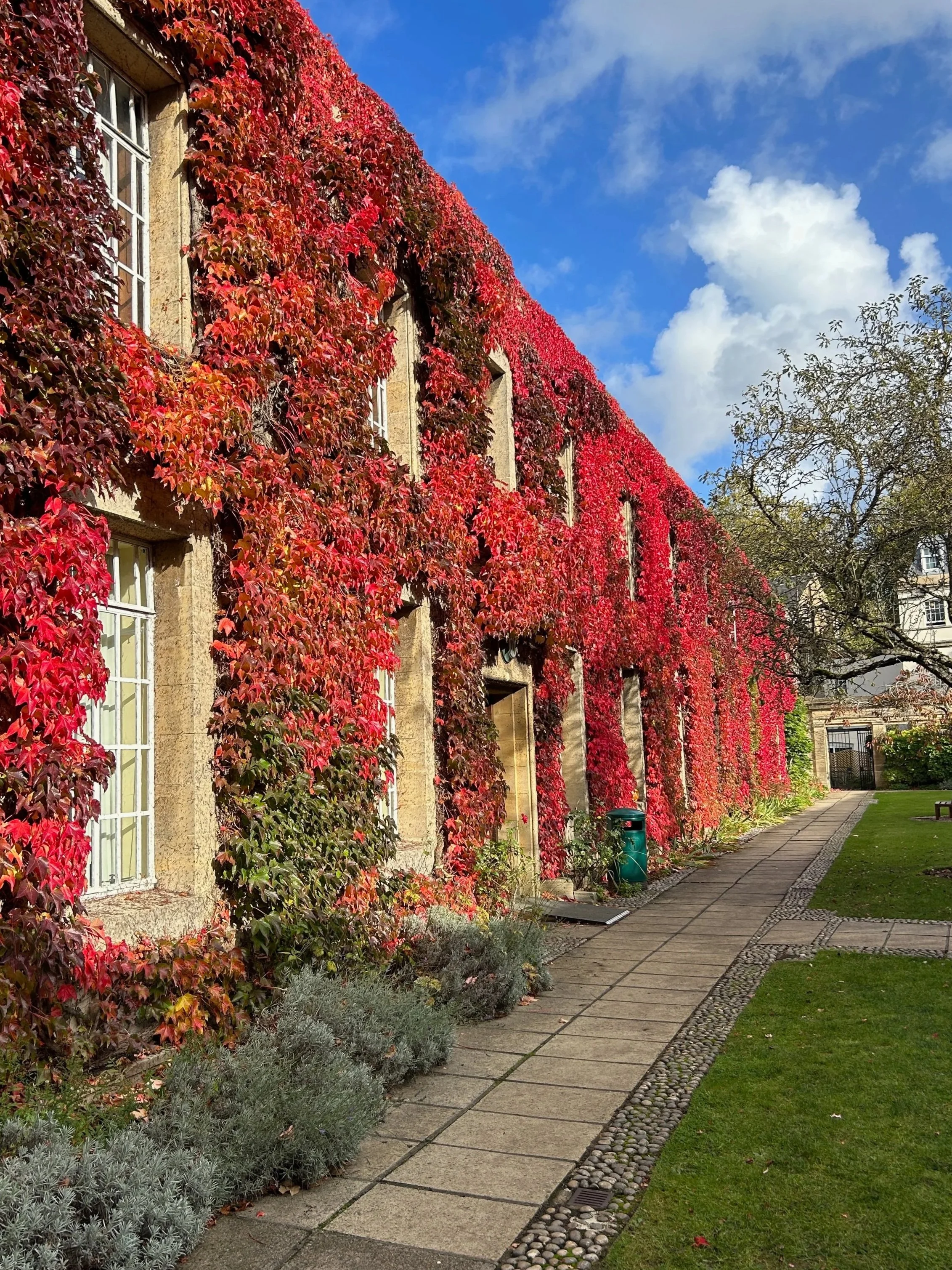 Admissions & Academic Mentoring