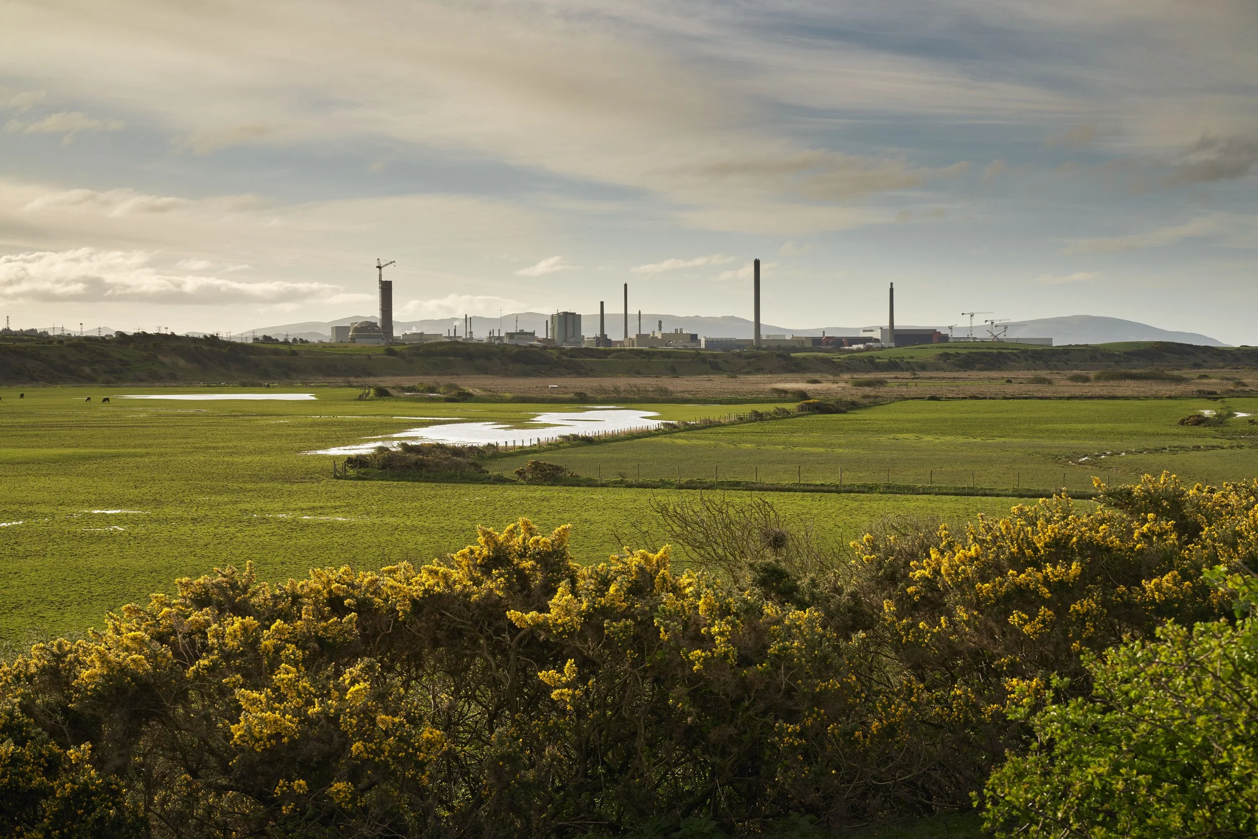 SS_240415-NWS-_DSC7532_RGB copy.jpg