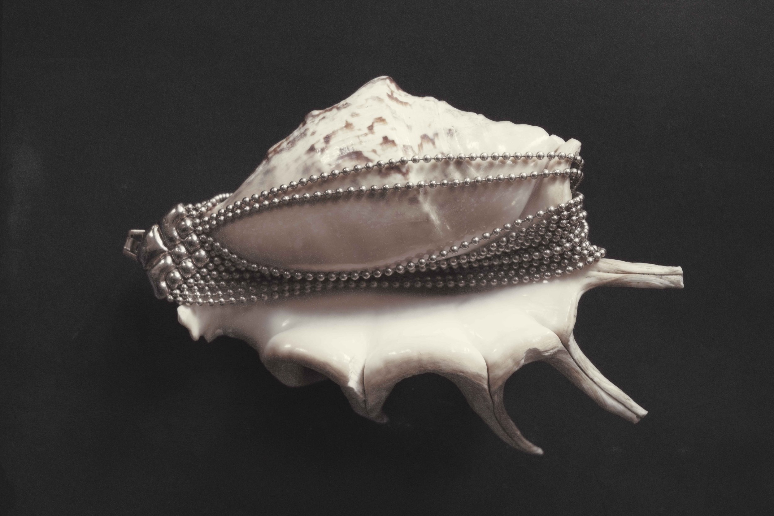 A large seashell with a silver bracelet draped over it, set against a black background.