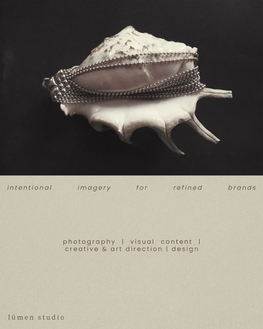 A large seashell with silver jewelry, including chains and a ring, draped on it. The background is black, and text about photography and art is below.