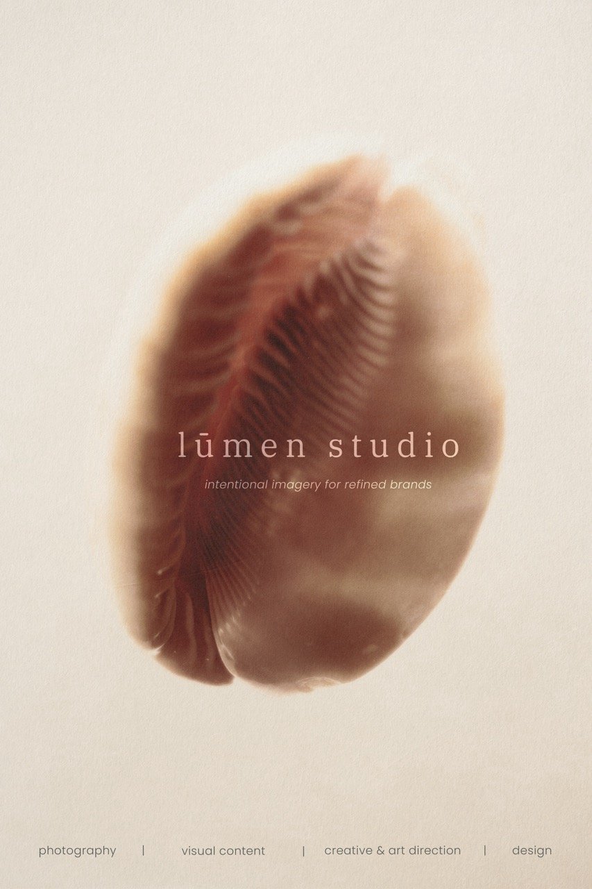 A close-up of a seashell with a soft-focus background, featuring text that reads 'lumen studio' and 'intentional imagery for refined brands'.