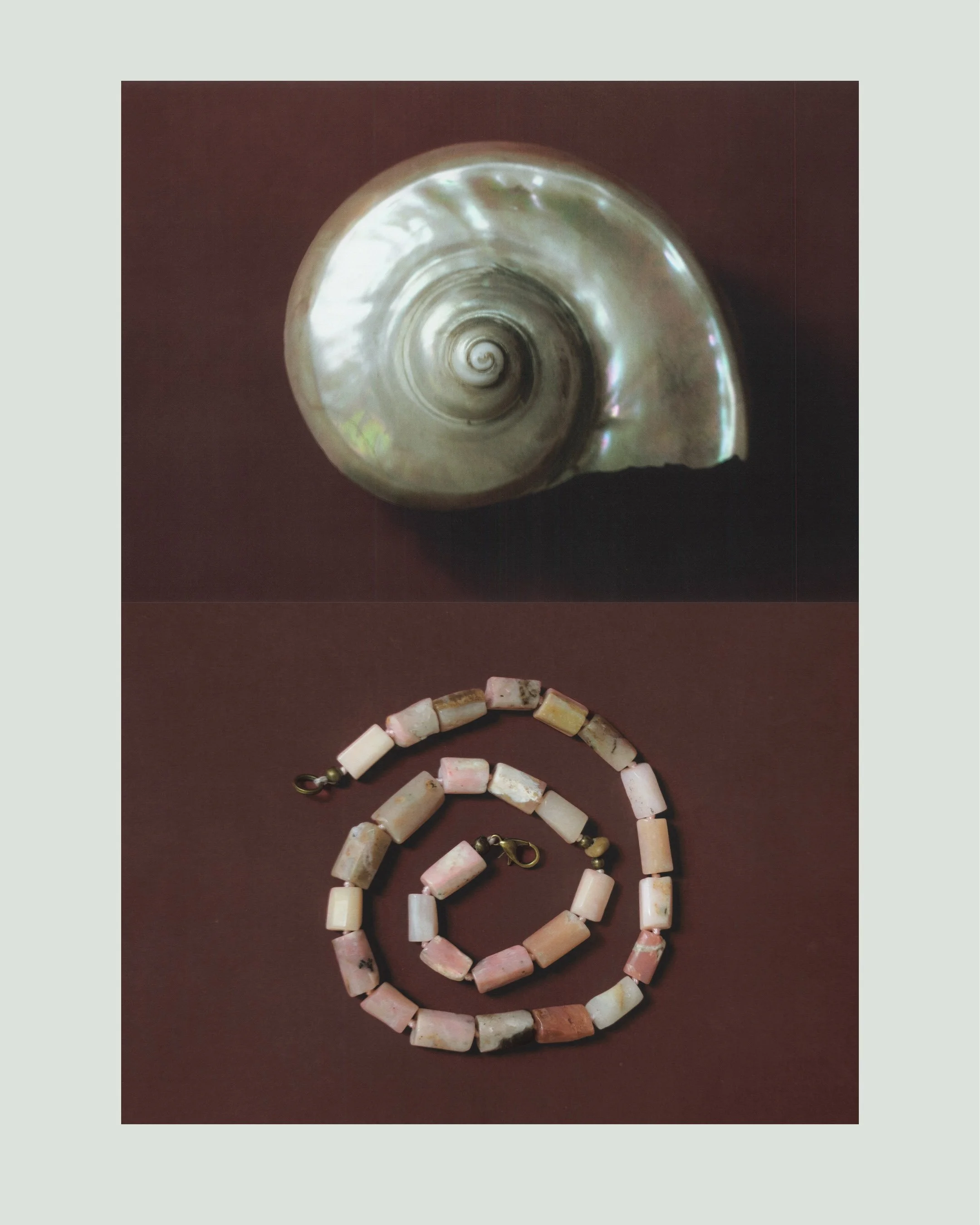 mior-sempiterno-pink-stone-necklace-shell-still-life.jpg