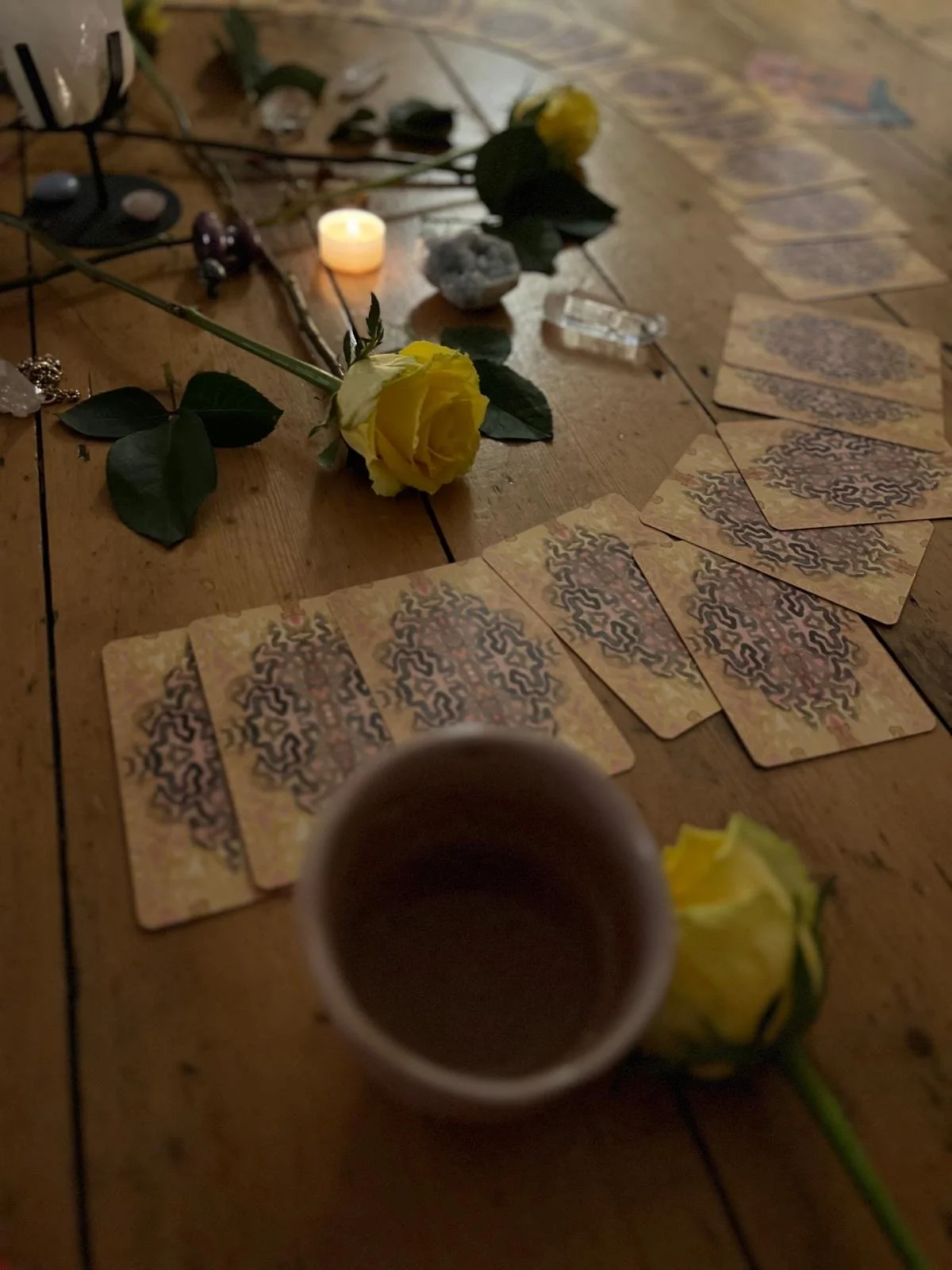 c1ab319d-a7f6-41b8-a98a-8242527c4b64 3.JPG