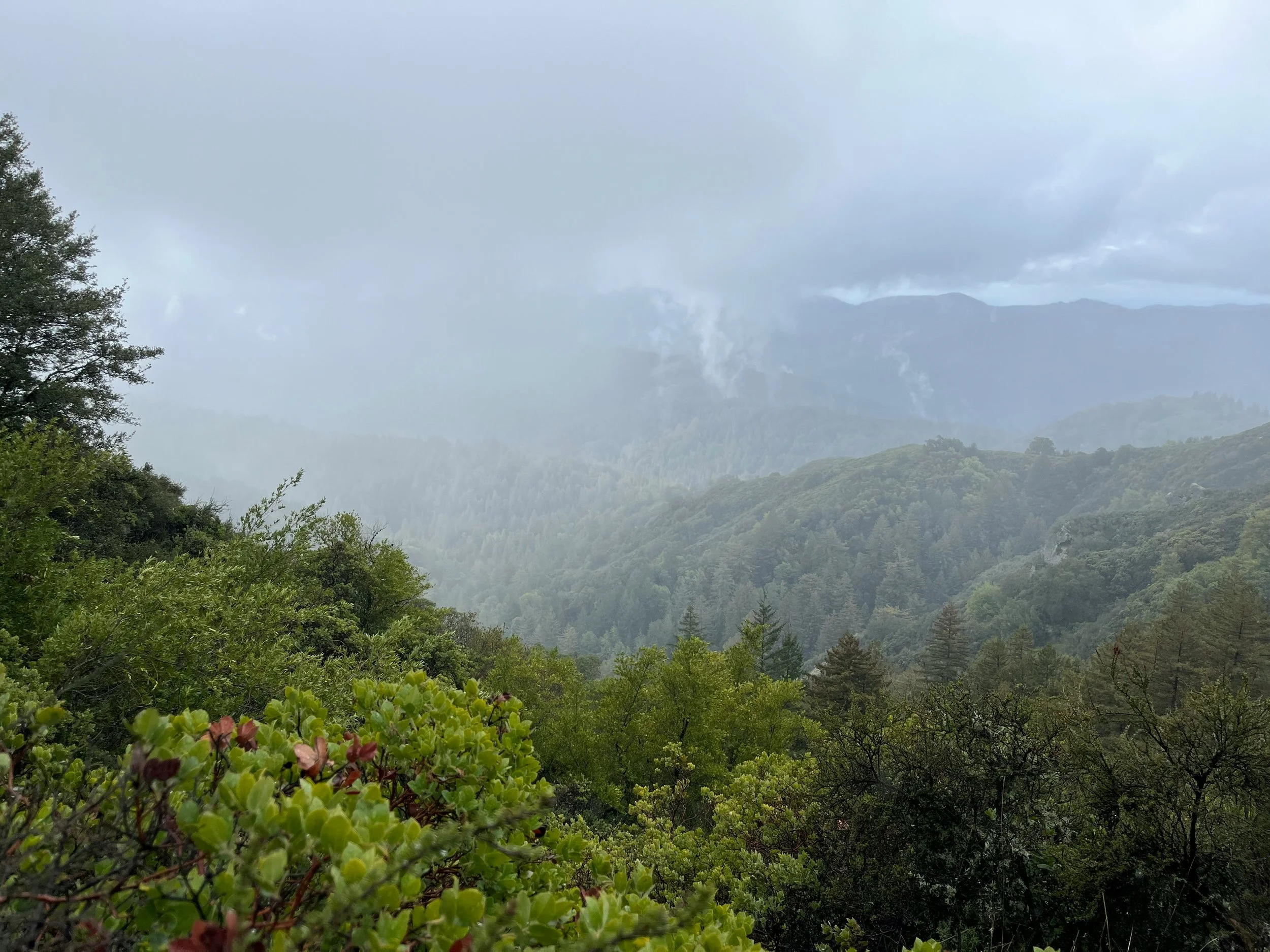 Consultoría de expansión internacional que prioriza claridad, eficiencia y respeto por el tiempo de las empresas B2B.