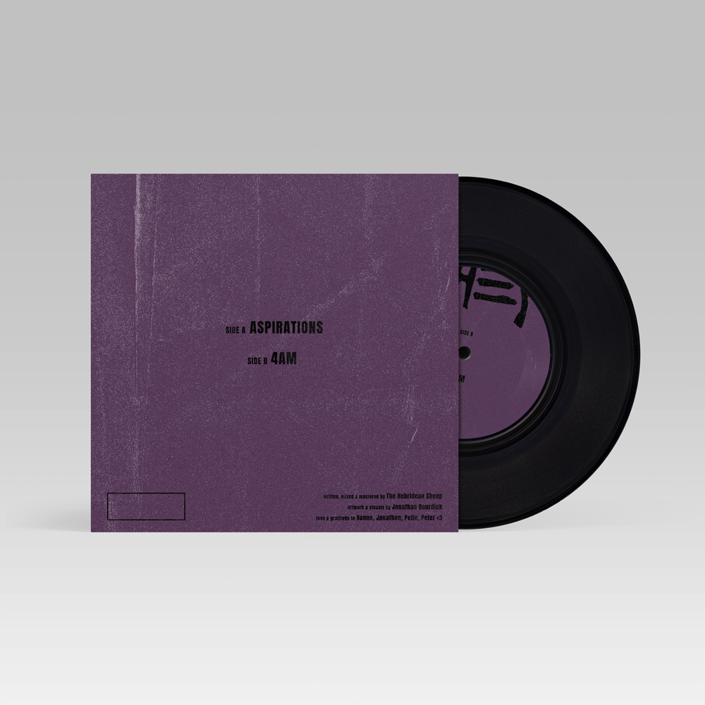 THS_7inch_product-back_BG.jpg (Copy)