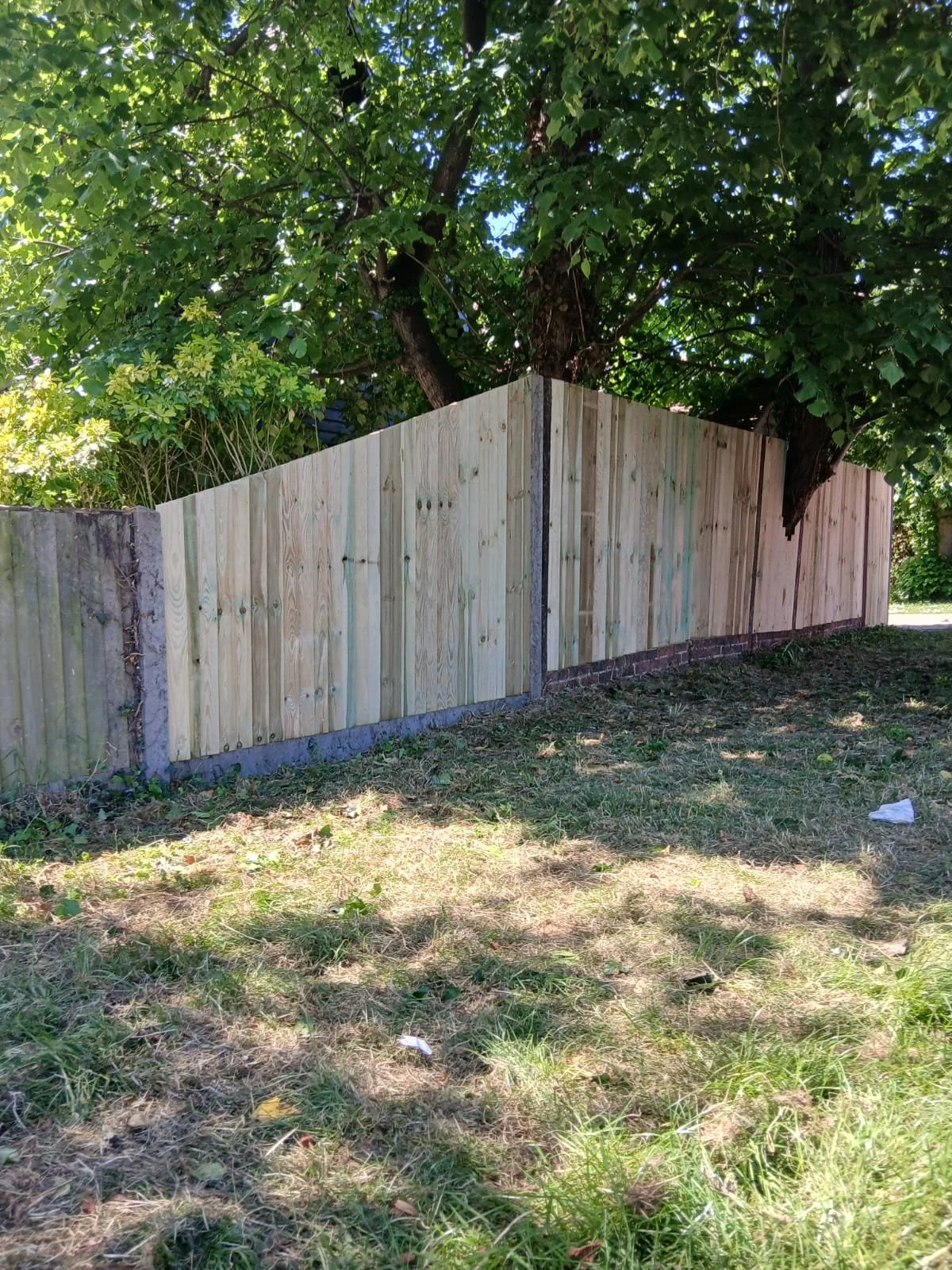 A newly installed wooden fence with vertical planks, surrounding a yard with grass and a large leafy tree overhead. The fence is supported by concrete posts and is partially shaded by the tree.