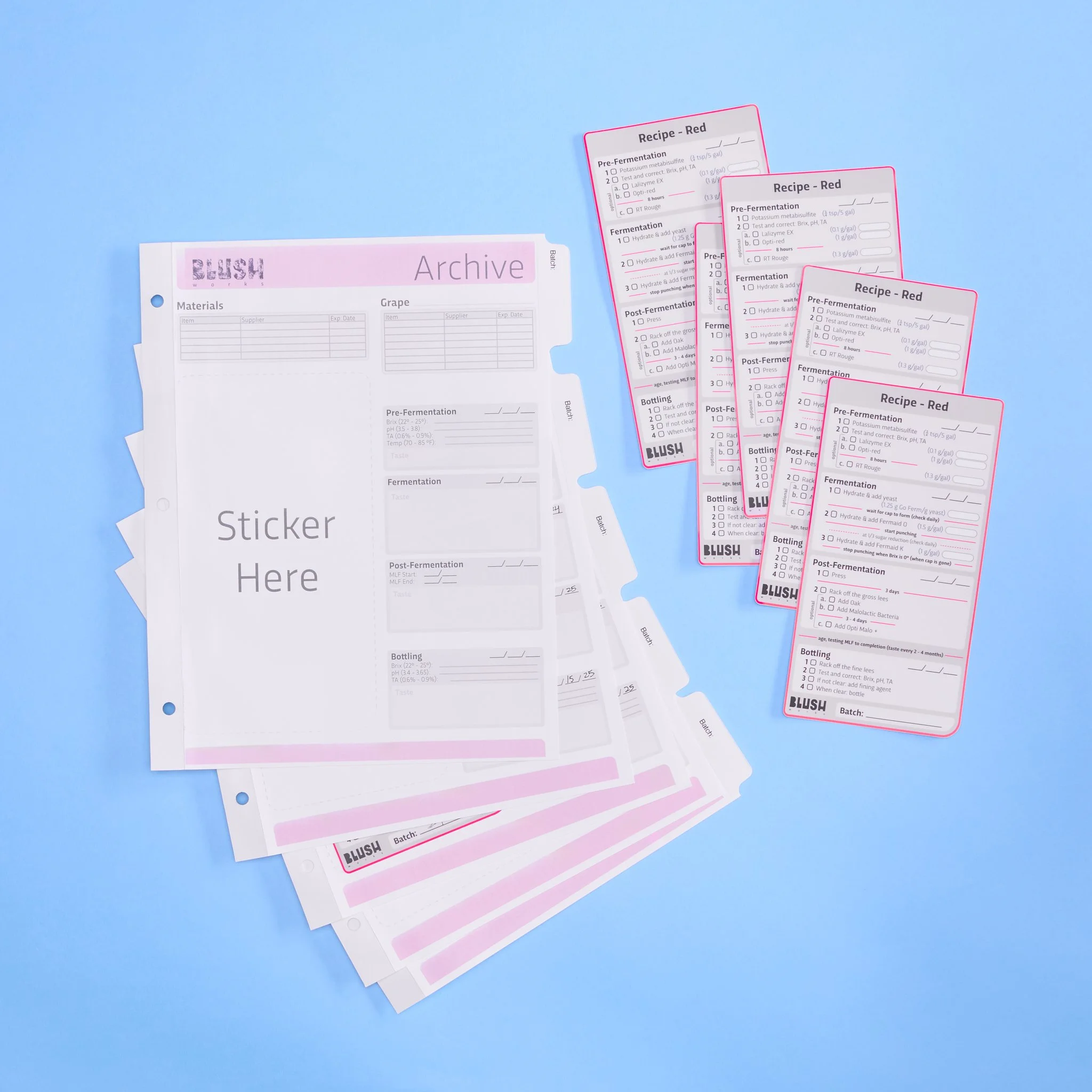 20250108_Blushworks_0285 1.jpg