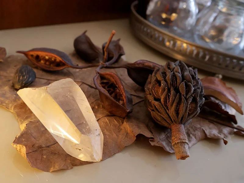 Deko-Objekte auf einem trockenen Blatt, darunter eine große klare Kristallspitze, eine getrocknete Frucht oder Samen und eine mittelgroße getrocknete Pflanze. Im Hintergrund ein silbernes Tablett mit Eiswürfeln.