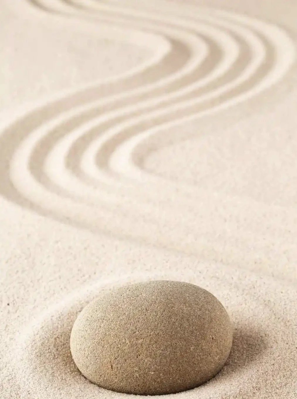 Mindfulness Based Stress Reduction