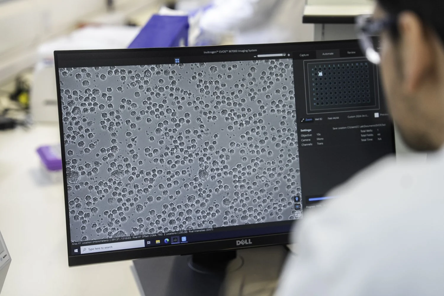 What the FDA’s New Guidance Means for CRISPR off-Target Analysis