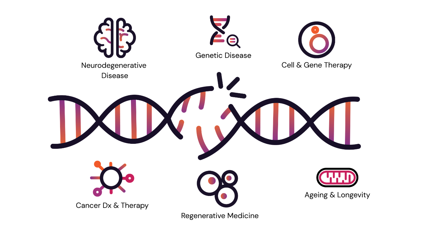 Diagram of a DNA strand with icons and labels for neurodegenerative disease, genetic disease, cell and gene therapy, cancer diagnosis and therapy, regenerative medicine, aging and longevity.