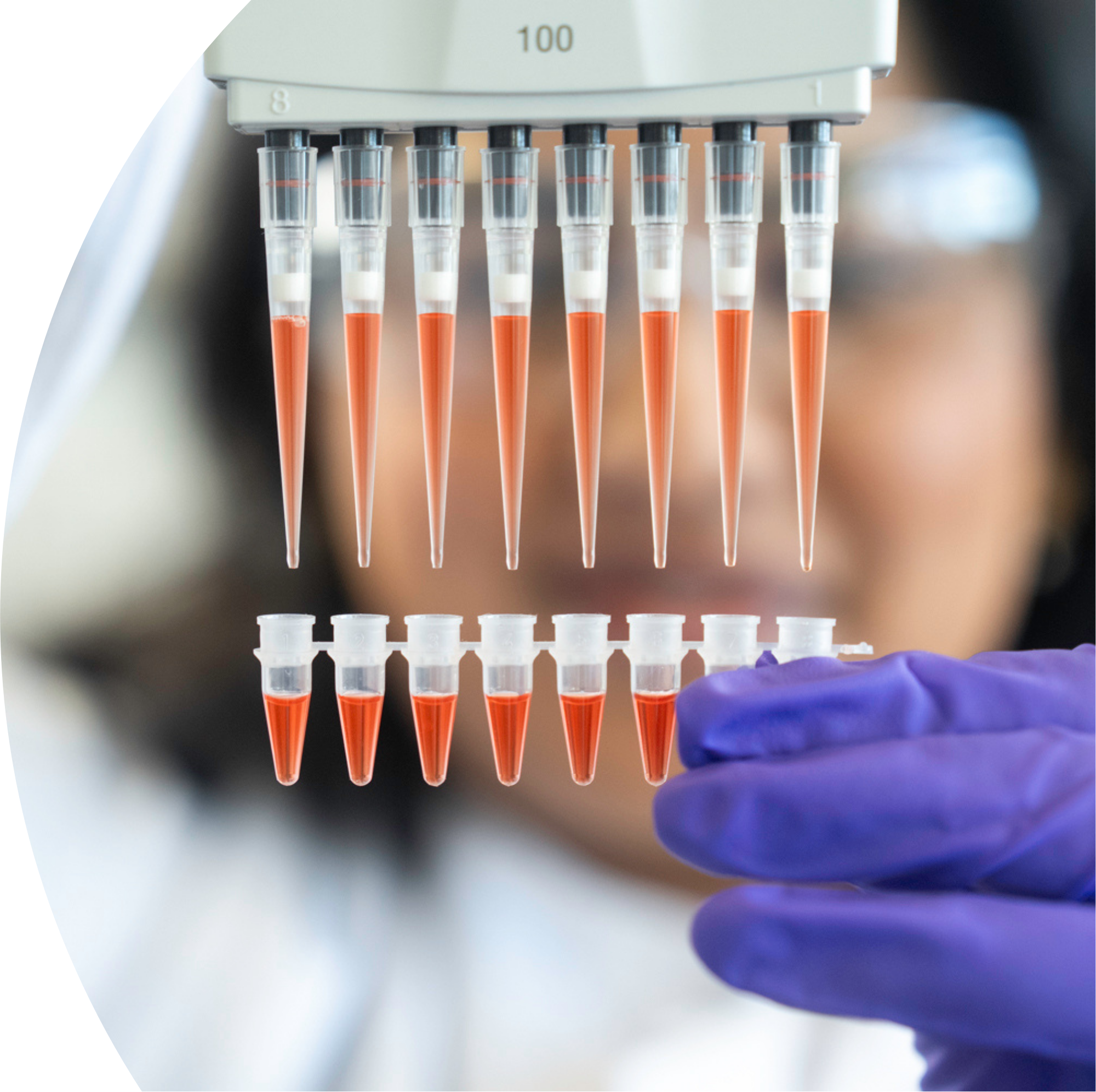 Lab technician handling test tubes filled in a laboratory.