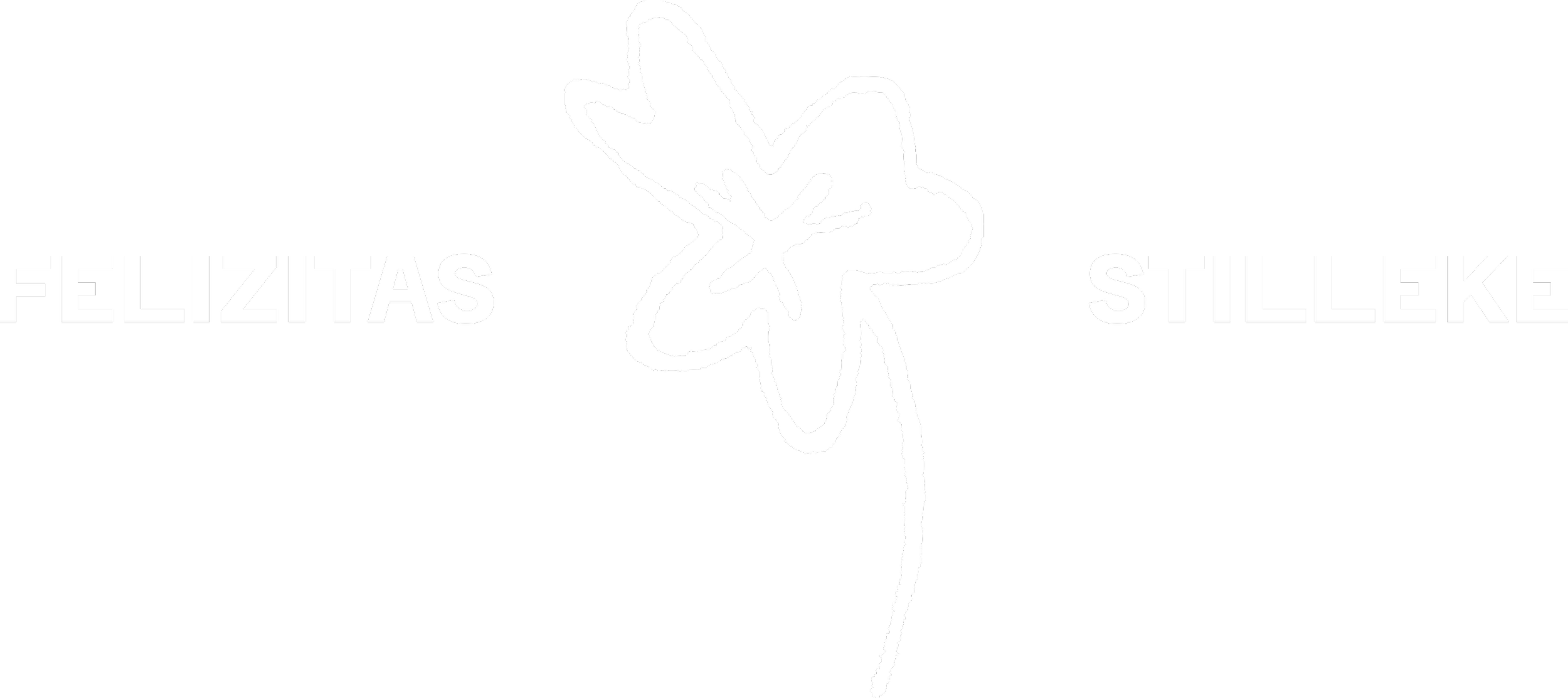 Black background with white text reading 'FELIZITAS STILLEKE' and a simple line drawing of a leaf or flower in the center.