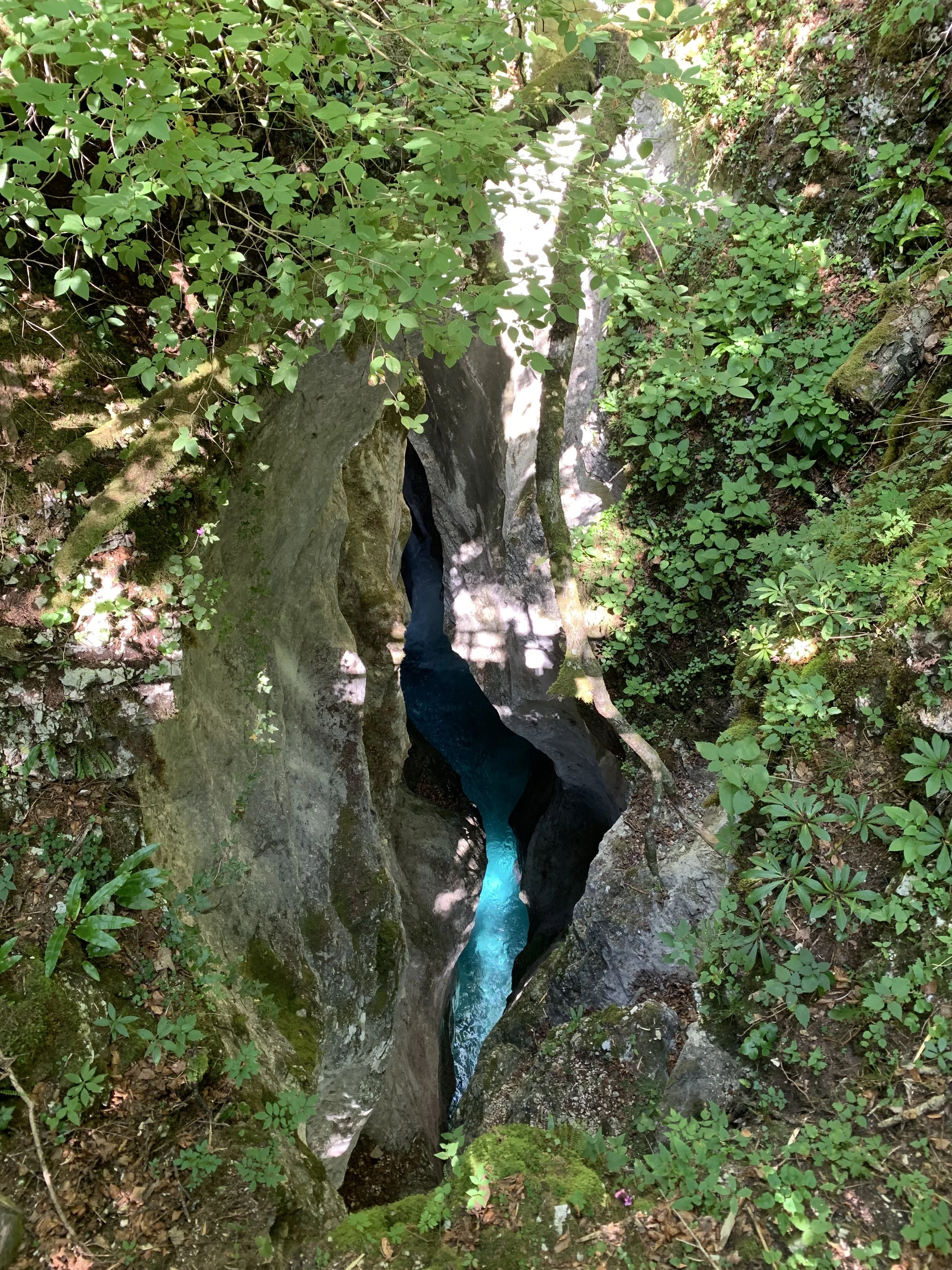 A narrow canyon or gorge with moss-covered rocks, lush green vegetation, and a small stream of bright blue water flowing through it.