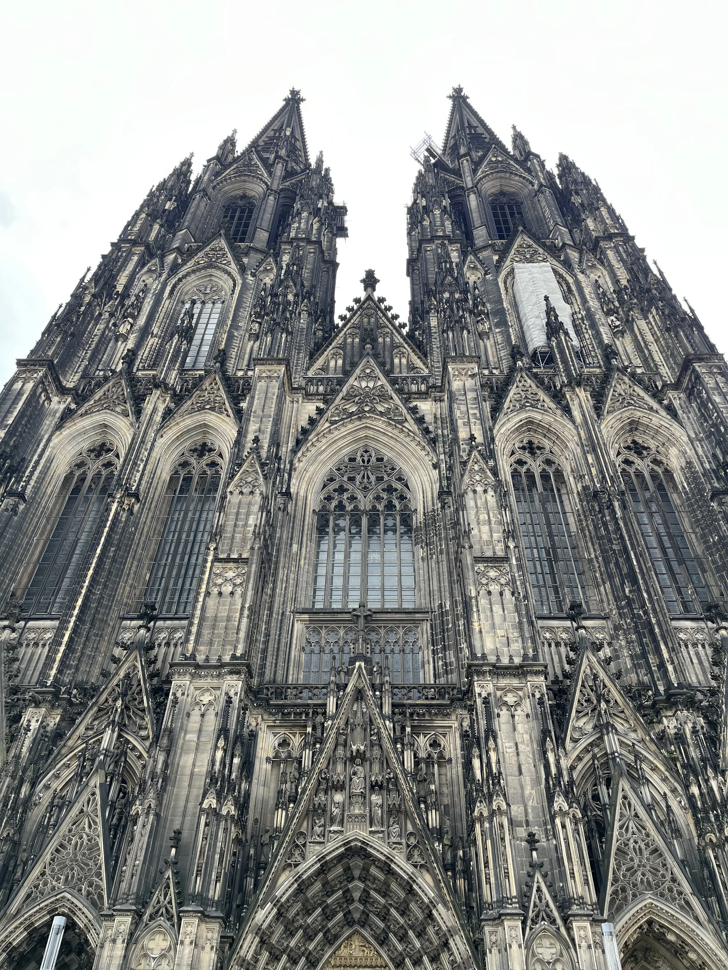 IMG_6403.jpeg