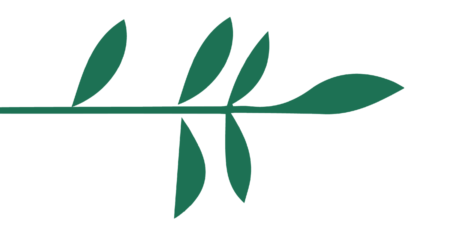 Palestinian Independent Film Festival PIFF  Icon Visual Identity. A minimalist botanical design with a horizontal line and stylized green leaves arranged symmetrically above and below it.