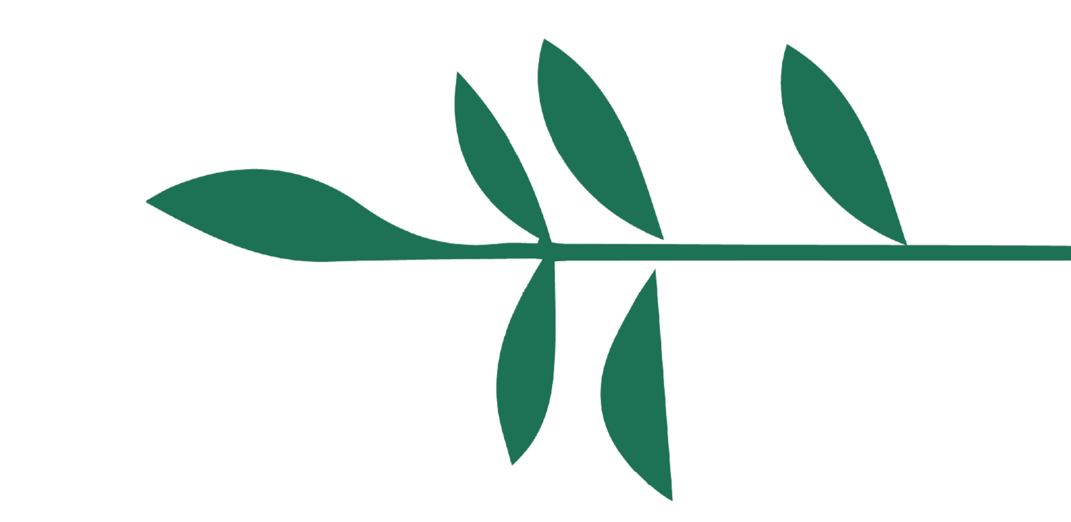 Palestinian Independent Film Festival PIFF  Icon Visual Identity. A stylized green illustration of a branch with leaves.