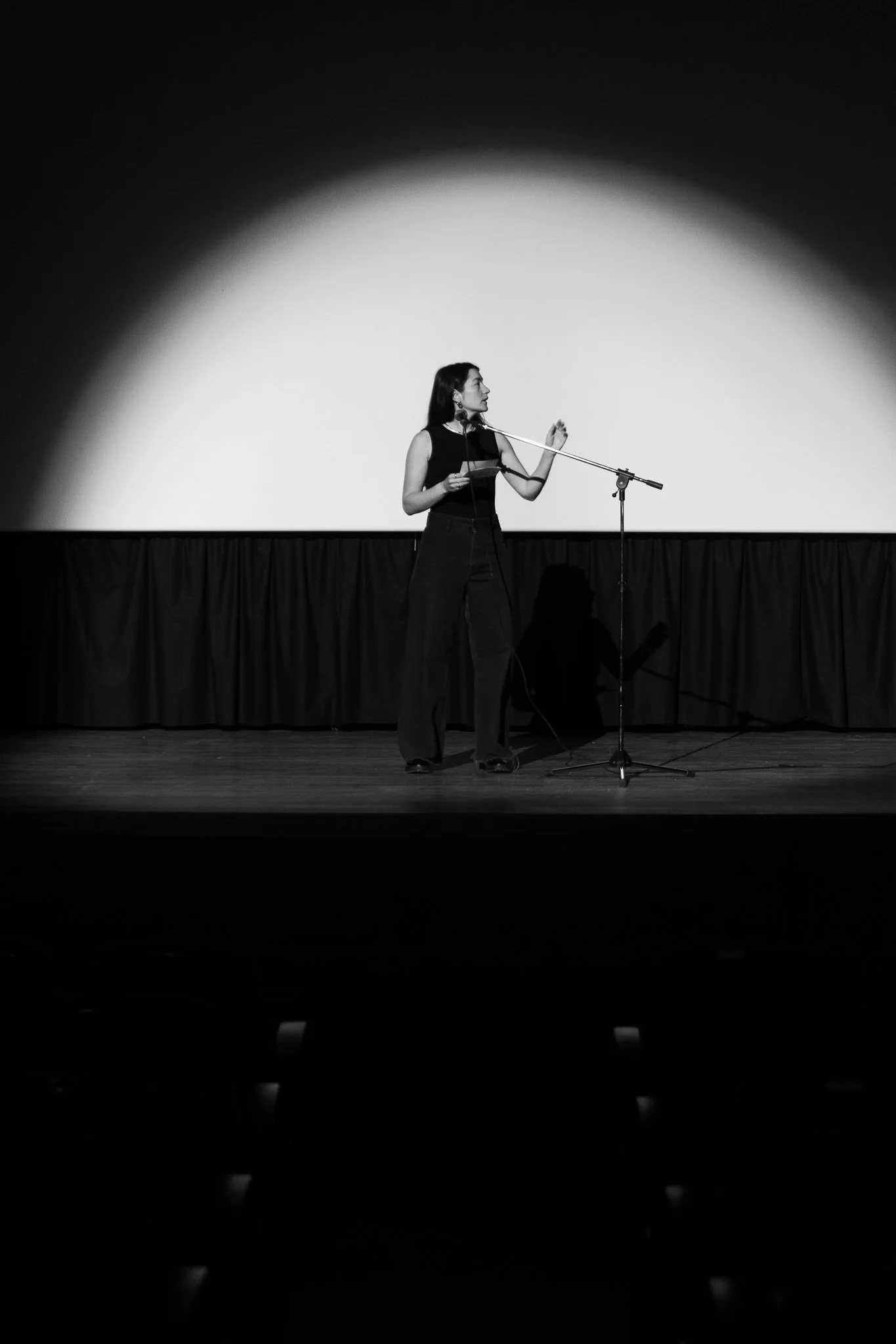 FILM FESTIVAL Agios Nikolaos Crete Greece 3rd edition Palestine on screen