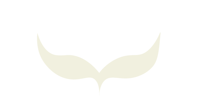 Palestinian Independent Film Festival PIFF  Icon Visual Identity. A leaf- bird shaped Icon with stylized, symmetrical design extracted from Palestinian Kufiya.