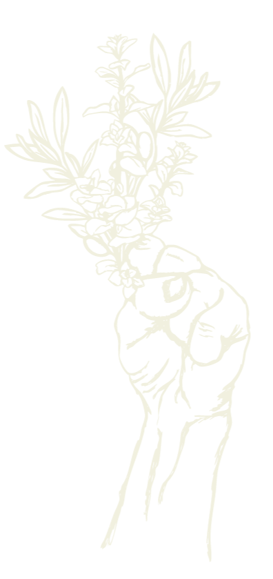 Palestinian Independent Film Festival PIFF  Icon Visual Identity. A white illustration of a hand holding a bunch of leafy plants against a black background. We will Remain as Long as the Thyme and Olive.