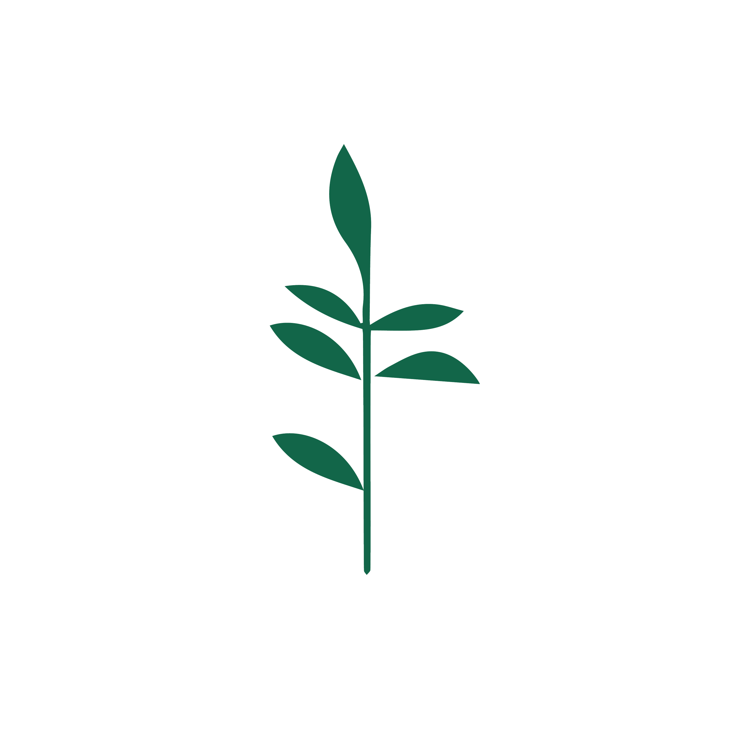 Palestinian Independent Film Festival PIFF  Icon Visual Identity, A minimalist, dark green plant illustration with the words, 'Plant-based lifestyle'.
